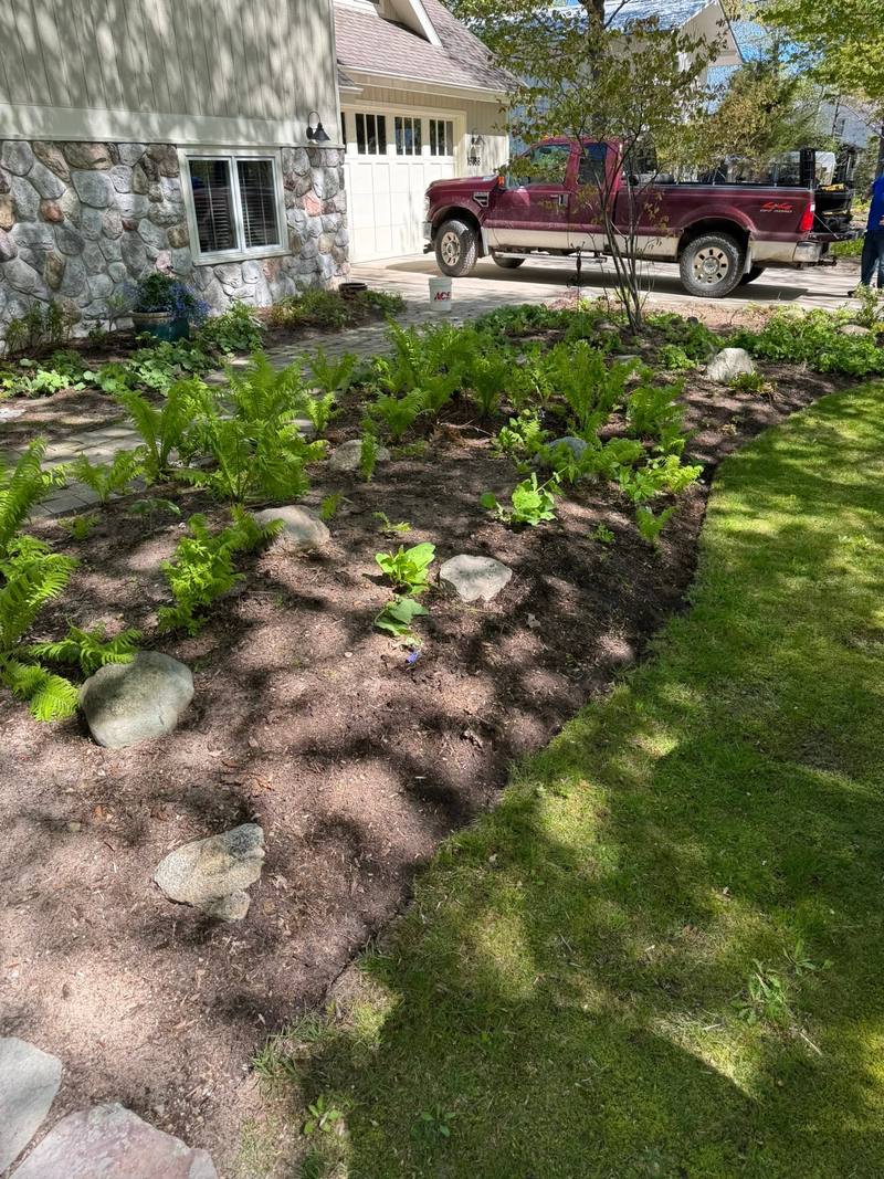 Ferns planted in a new mulch bed beside a stone-faced garage
