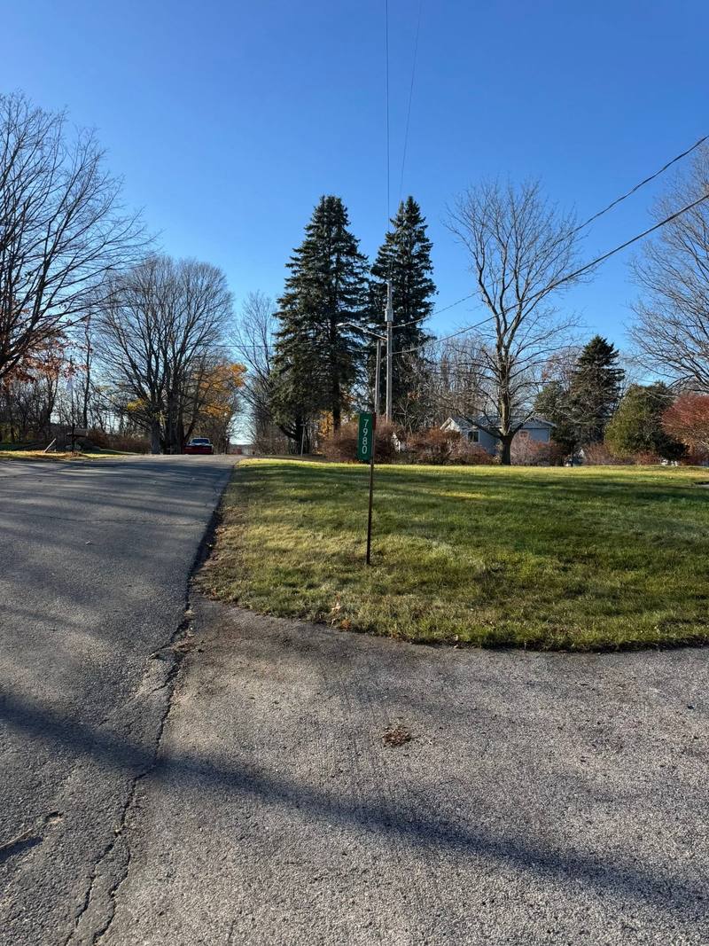 Front lawn cleared of leaves along the driveway