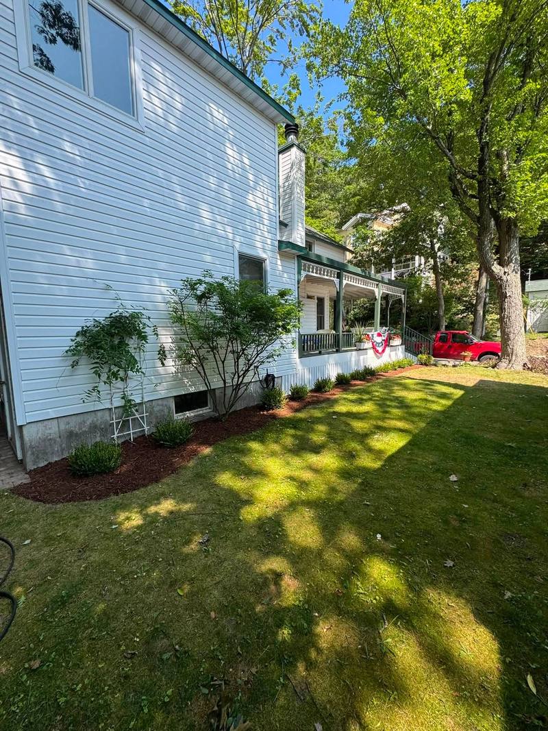 Sunny side yard mowed short along fresh mulch beds