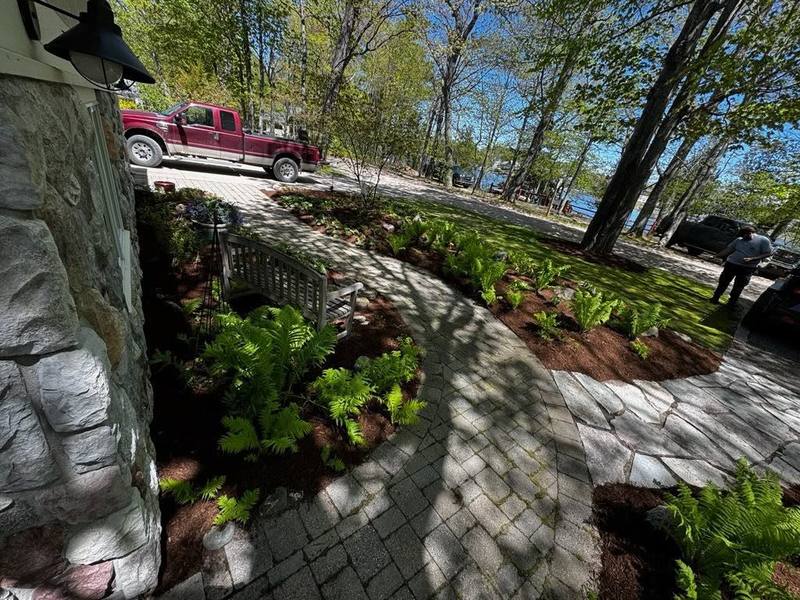Curved paver walkway lined with fern beds and fresh mulch