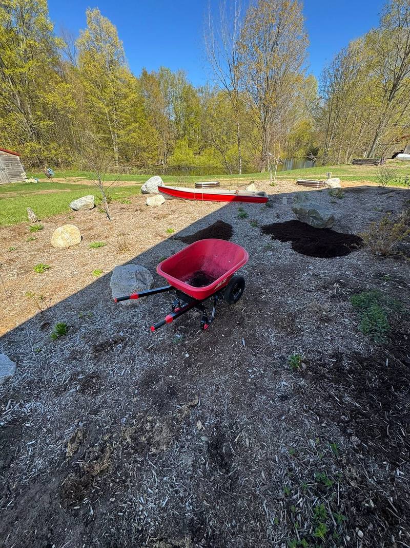Spring bed cleanup in progress with a wheelbarrow and fresh soil