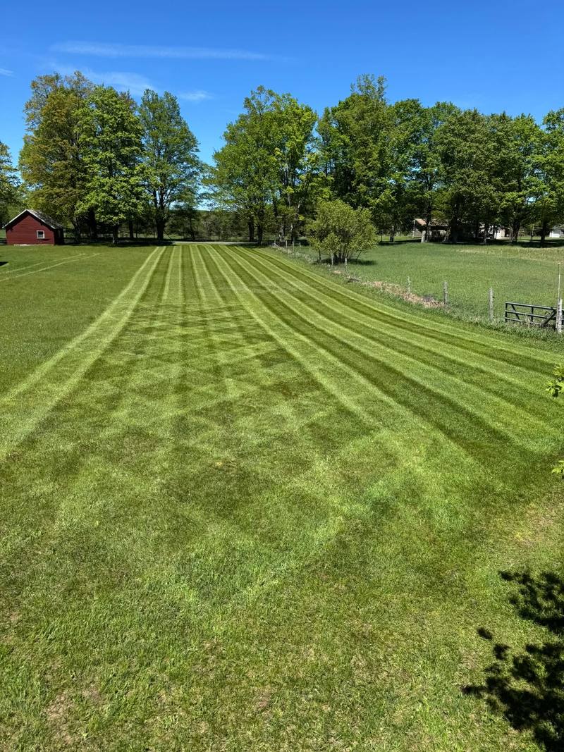 Checkerboard mowing stripes across a wide lawn leading to a red barn