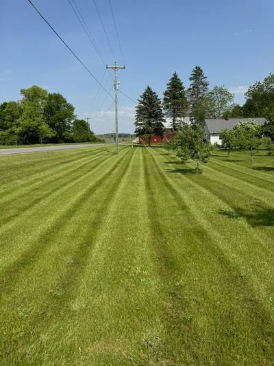 Long straight mowing stripes in a roadside field under a blue sky